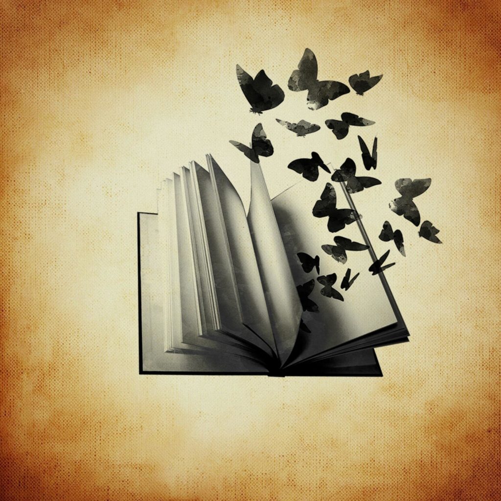 offenes Buch aus dem Schmetterlinge heraus fliegen